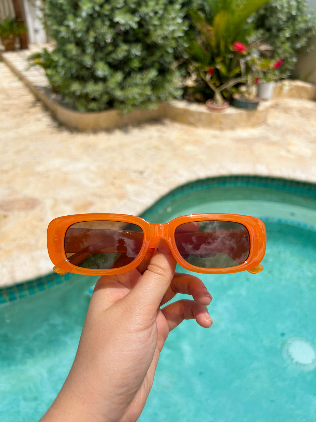 Jello Shot Sunnies