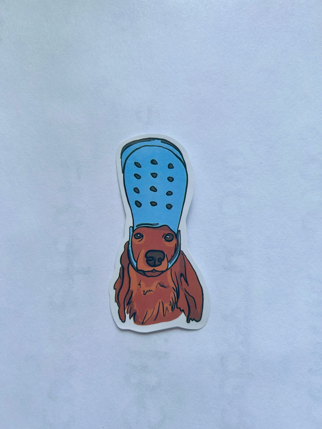Dog Crocs