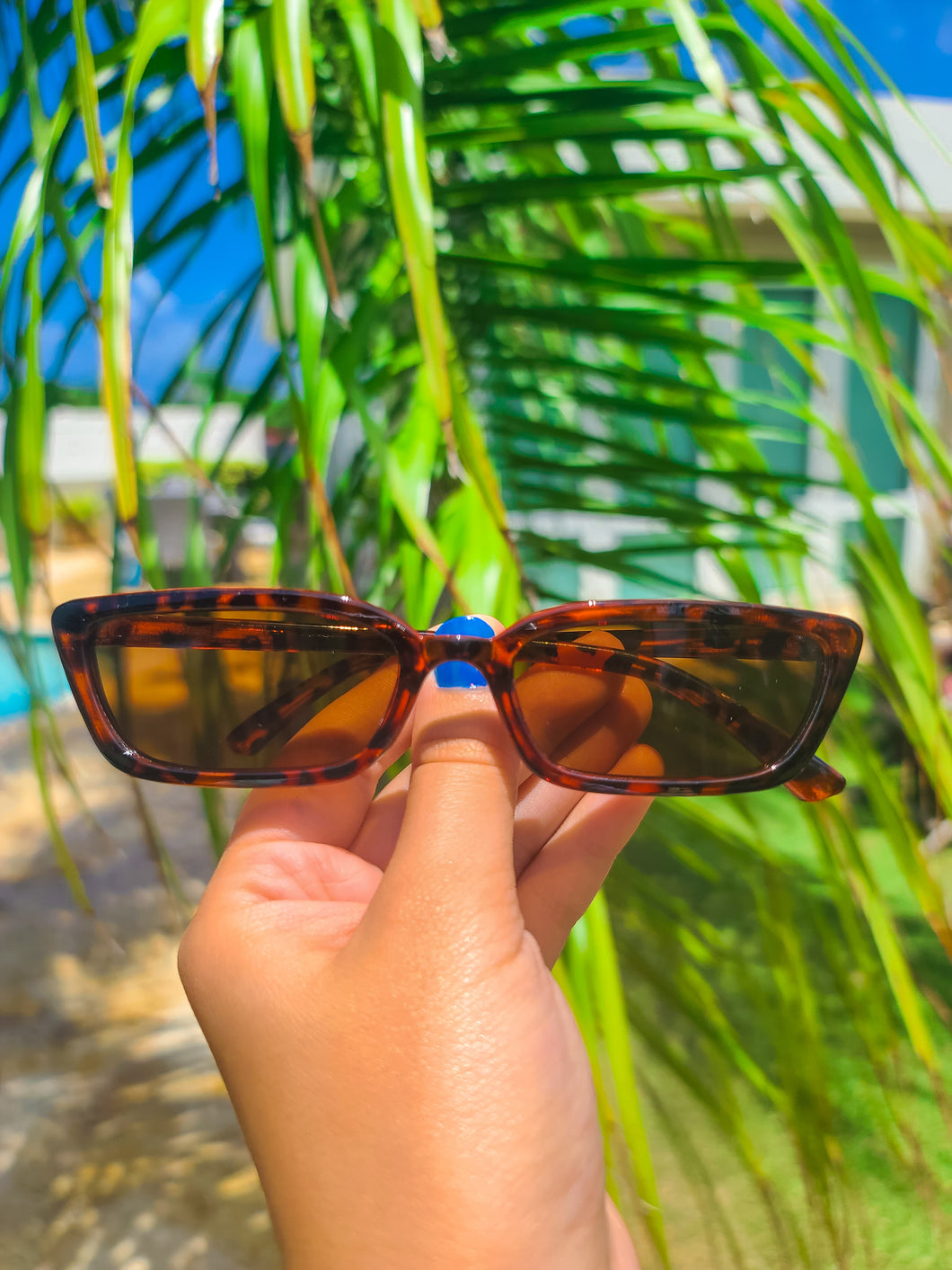 Vintage Tortoise Sunnies