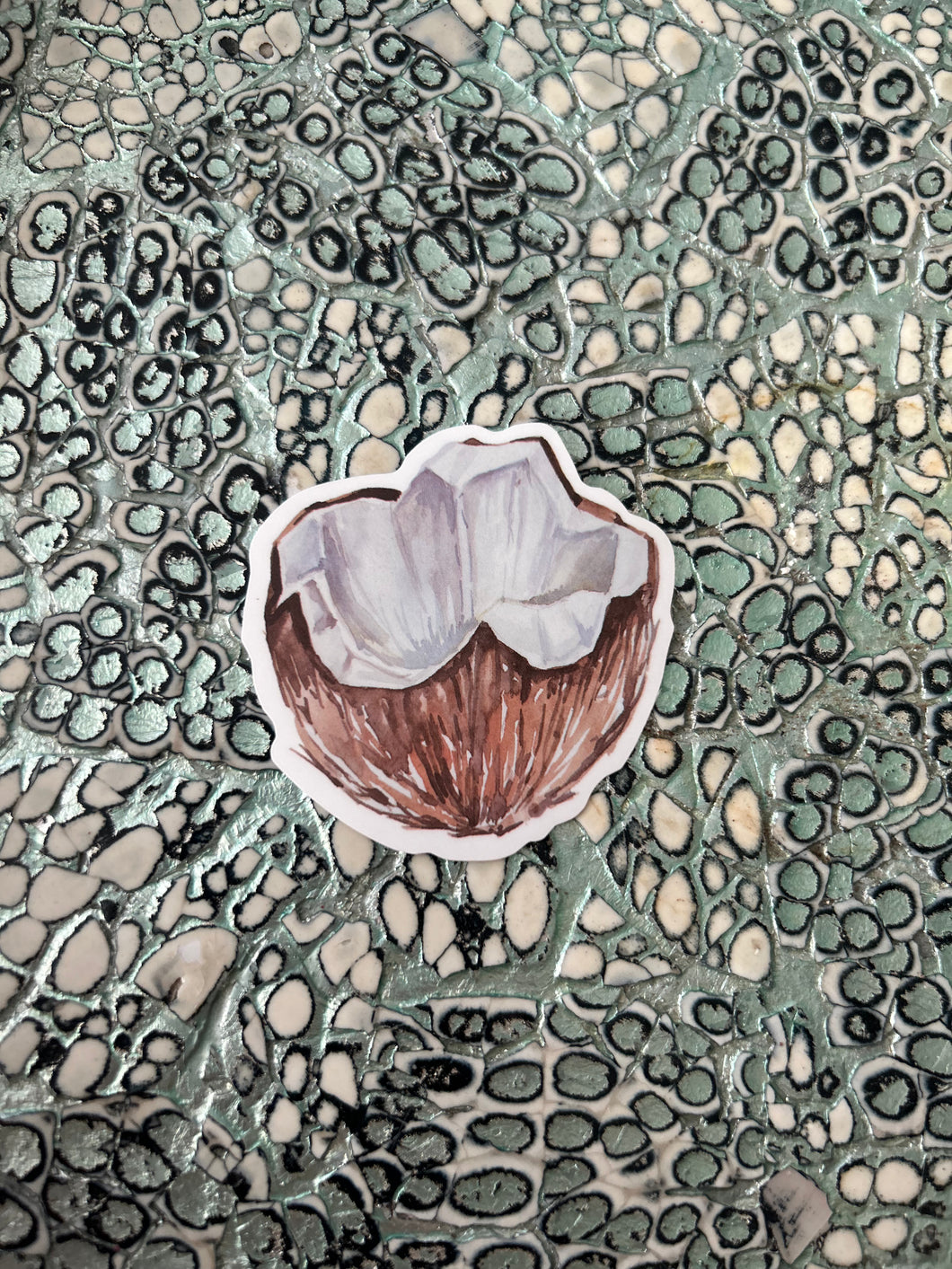 Coconut Sticker